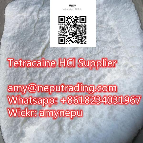 <font color='red'>Tetracaine</font> HCl <font color='red'>CAS</font> <font color='red'>136</font>-<font color='red'>47</font>-<font color='red'>0</font> with Best Price