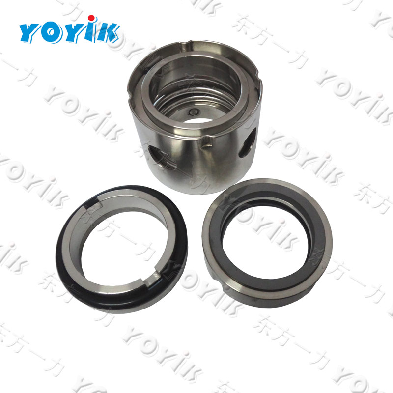 YOYIK MECHANIAL SEAL DFB100-80-230