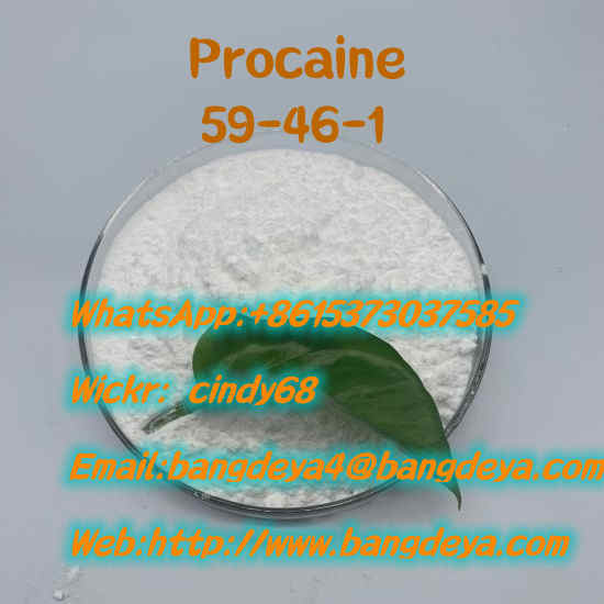 Procaine CAS59-46-1