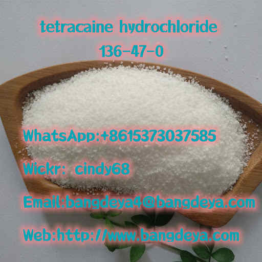 tetracaine hydrochloride CAS136-47-0