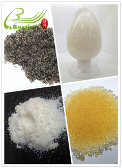 American ginseng total saponin extraction resin