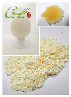 Rare earth elements extraction resin