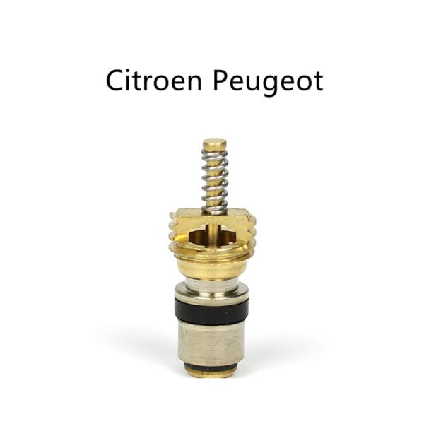 Free Shipping,(10pieces) Air conditioning Charge cold medium interface valve core for Peugeot