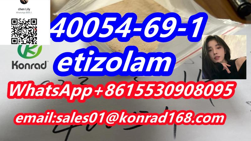 etizolam  CAS 40054-69-1