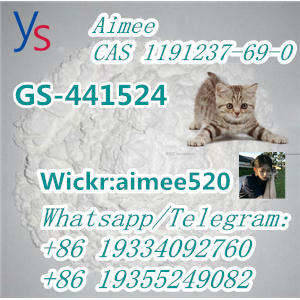 CAS 1191237-69-0 GS-441524 Provide Sample