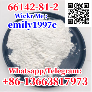 CAS 66142-81-2  2CB  CAS 288573-56-8 bmk CAS 718-08-1 CAS 20320-59-6 pmk 4676-39-5  CAS 28578-16-7  CAS 2079878-75-2  gs GS-441524 99.9% powder API Raw Material CAS 1191237-69-0 CAS 52190-28-0