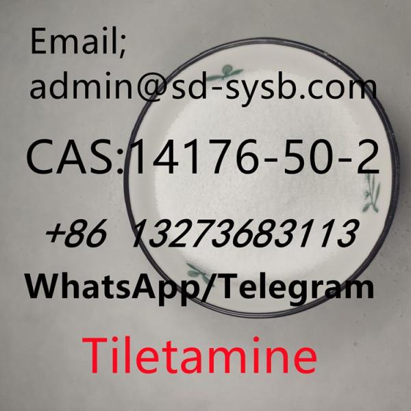 5  CAS:14176-50-2 Tiletamine