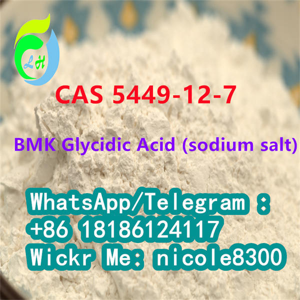 BMK Glycidic Acid (sodium salt) White powder 99% 5449-12-7