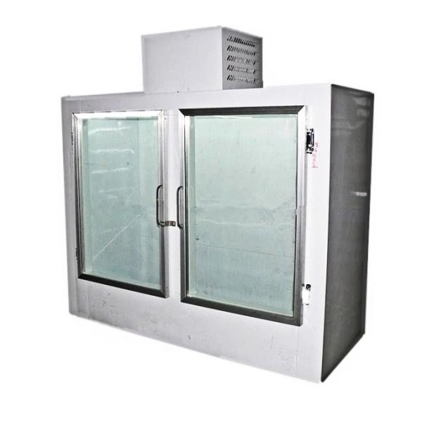 2 glass door ice merchandiser / Indoor bags ice display freezer