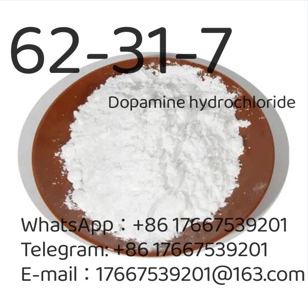 <font color='red'>CAS</font> 62-31-7Dopamine <font color='red'>hydrochloride</font>