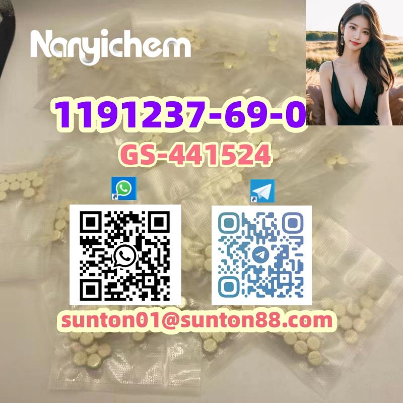 1191237-69-0         GS-441524