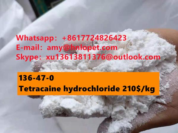 Best sellings goods <font color='red'>tetracaine</font> <font color='red'>hydrochloride</font> <font color='red'>Cas</font> <font color='red'>136</font>-<font color='red'>47</font>-<font color='red'>0</font>