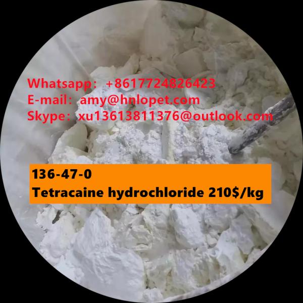 Hot sales goods <font color='red'>tetracaine</font> <font color='red'>hydrochloride</font> <font color='red'>Cas</font> <font color='red'>136</font>-<font color='red'>47</font>-<font color='red'>0</font>