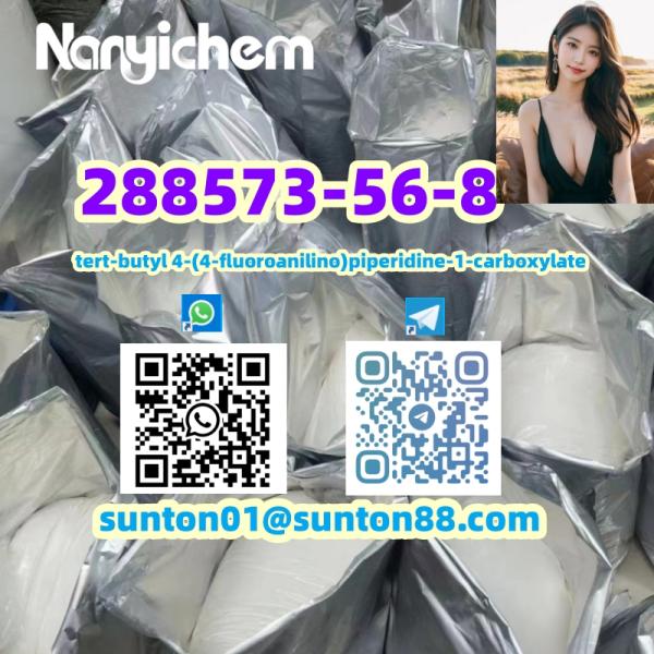 288573-56-8	tert-butyl 4-(4-fluoroanilino)piperidine-1-carboxylate