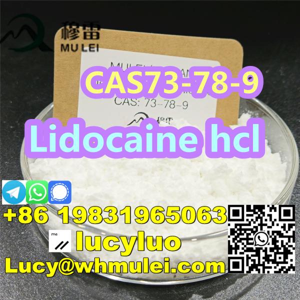 Best Price Lidocaine hydrochloride CAS 73-78-9