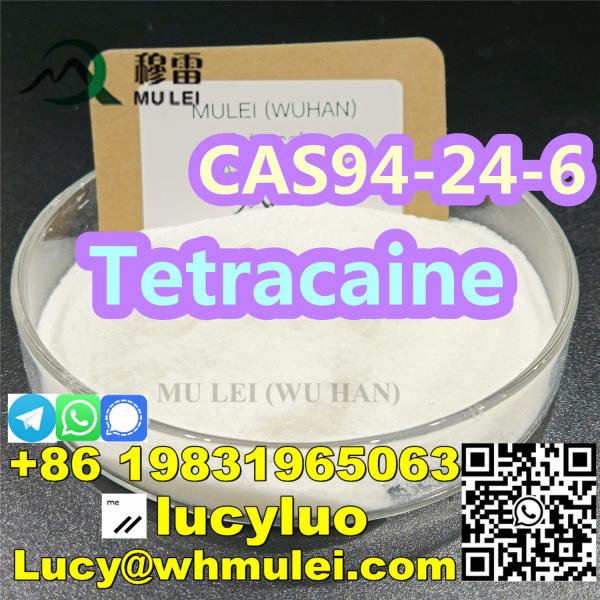 Pharmaceuticals Chemical Tetracaine White Powder CAS 94-24-6.