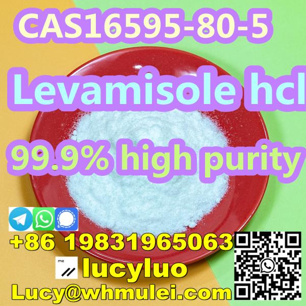 Levamisole Hydrochloride / Levamisole HCl CAS 16595-80-5