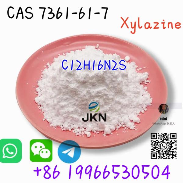 USA Hot Sale Top Grade  CAS 7361-61-7 Xylazine with Low Price