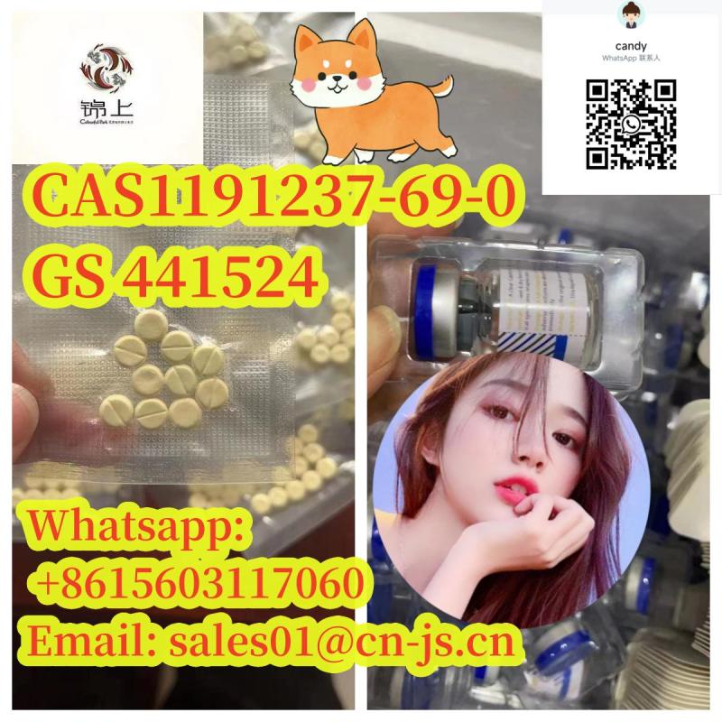 Pet Medicine CAS1191237-69-0 GS 441524