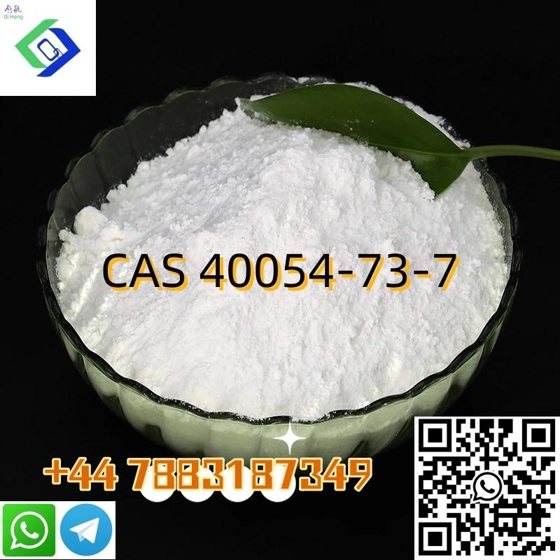 Lowest Price And High Quality Deschloroetizolam CAS 40054-73-7