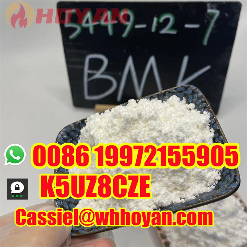 BMK Powder CAS 5449-12-7 BMK Glycidic Acid Sodium Salt with factory price