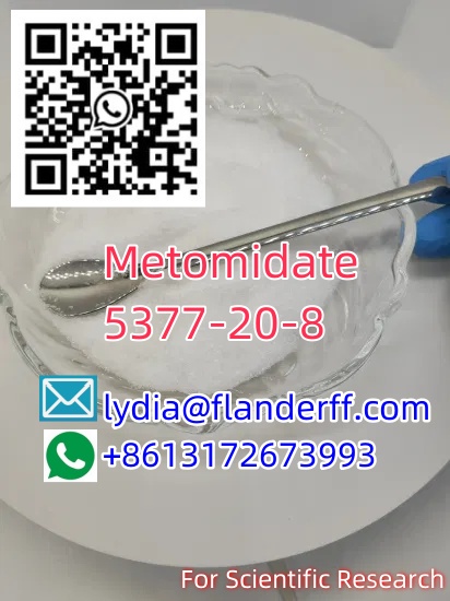 CAS5377-20-8 Metomidate C13H14N2O2