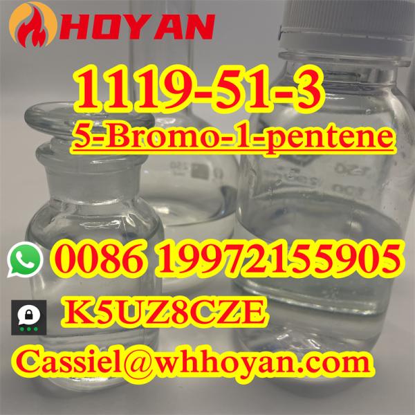 Factory Supply 5-Bromo-1-pentene CAS1119-51-3