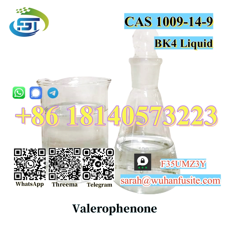 BK4 Liquid Valerophenone CAS 1009-14-9 with Best Price