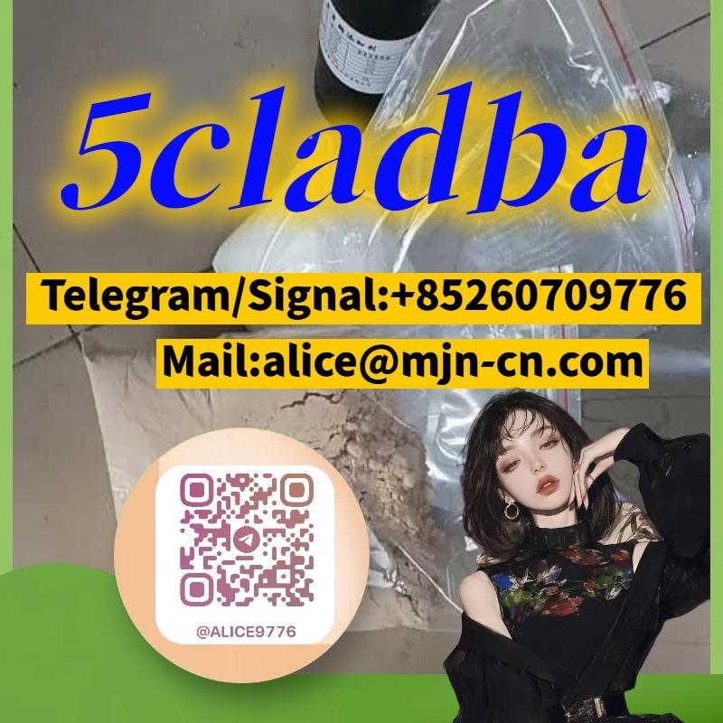 5cl-adb 5cladba 5cl	telegram:@alice9776