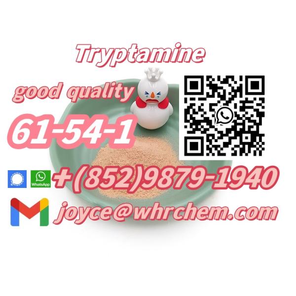 whatsapp:+(852)9879-1940 Tryptamin Cas 61-54-1 high quality
