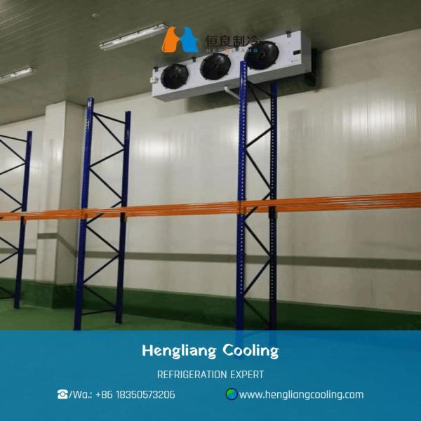 Hengliang Cooling Industrial Cold Room Container/ Commercial Cold Storage/ Walk In Freezer