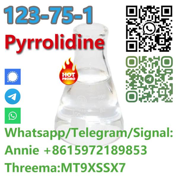 good quality Pyrrol idine CAS 123-75-1 factory supply with low price and fast shipping