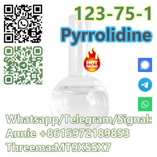 good quality Pyrrol idine CAS 123-75-1 factory supply with low price and fast shipping