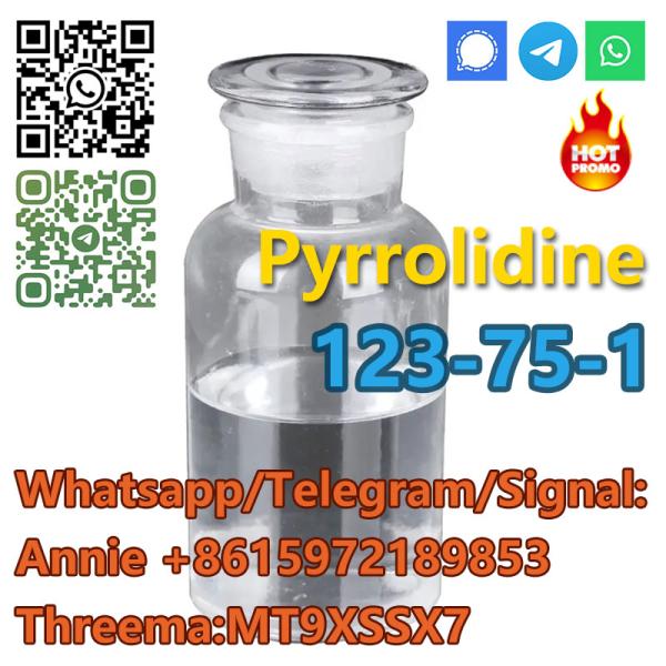 good quality Pyrrol idine CAS 123-75-1 factory supply with low price and fast shipping
