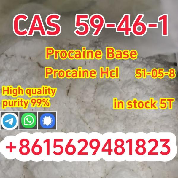 59-46-1 procaine base