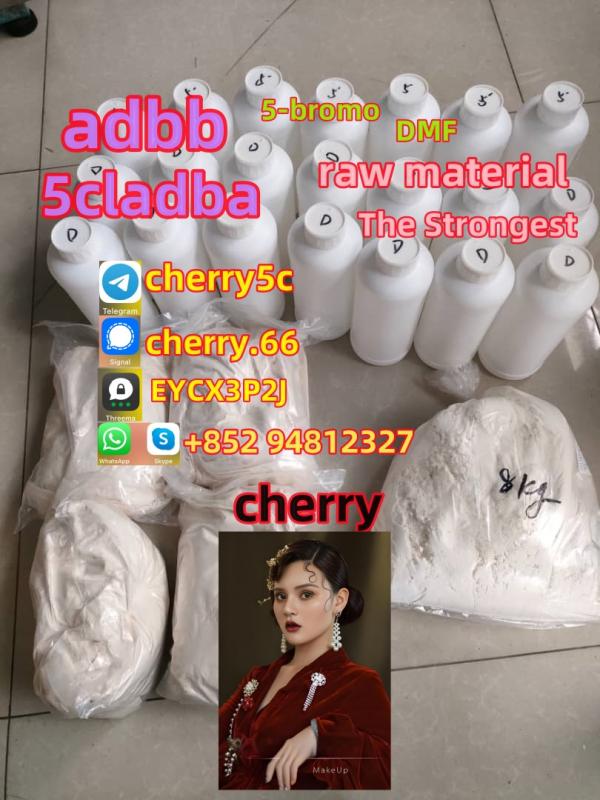 Strongest 5cladba raw material 5CL-ADB-A precursor powder and liquid