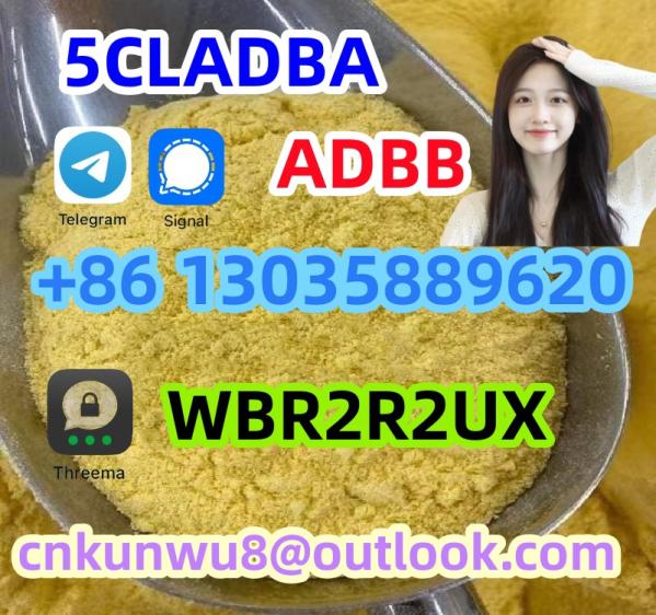 Buy 5cladba Powder China 5CL-ADB-A Popular In Europe And America