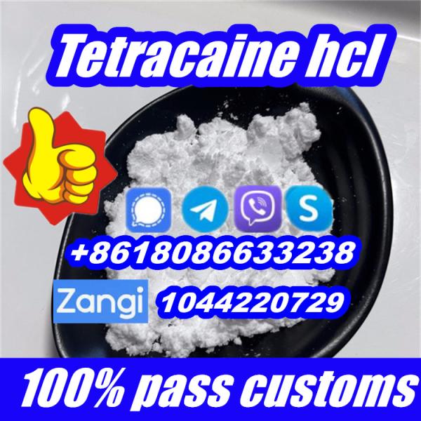 Local anesthetic Tetracaine Hcl CAS 136-47-0 Tetracaina