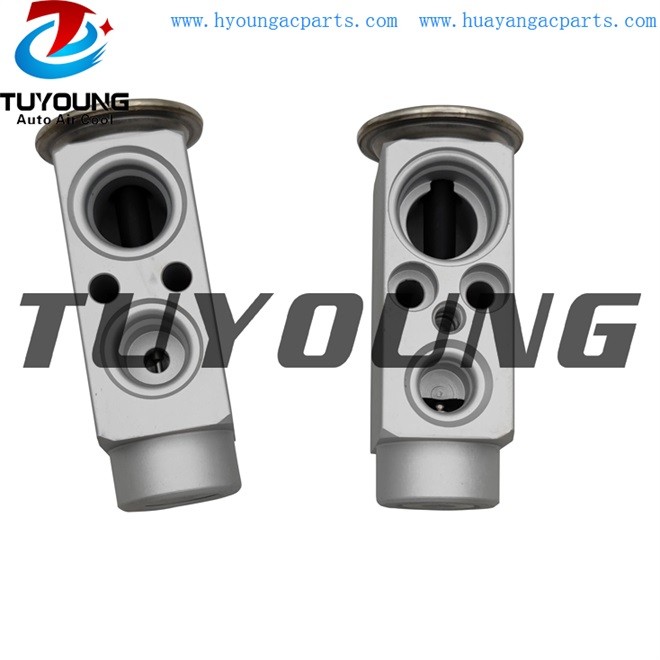 TUYOUNG BMW 520 523 525 530 valve blocks auto ac expansion valves 64116138032 64116921051 China factory produce