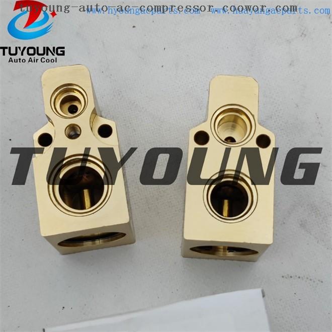 TUYOUNG for AUDI A3 1.6 1.8 valve blocks auto ac expansion valves 7701041340  JQD100190 China factory produce