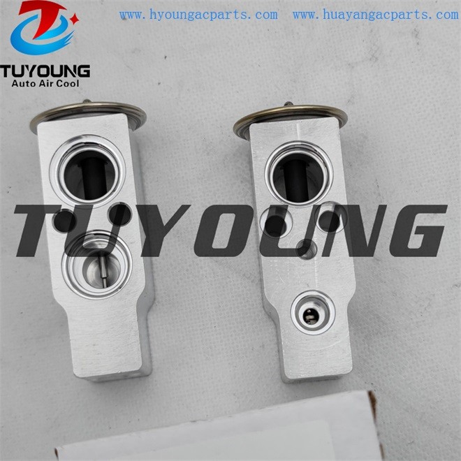 TUYOUNG auto ac expansion valves auto ac expansion valves FOR Hyundai for Santa FE 2.0 valve blocks