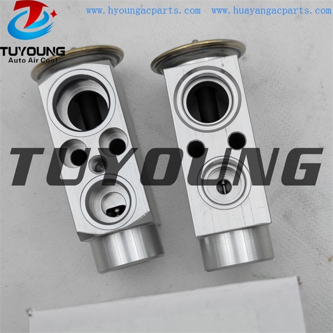 TUYOUNG auto ac expansion valves for BMW 316 1.6 1.8 1.9 2.0 valve blocks 64118381504 DVE05007 38404 China factory produce