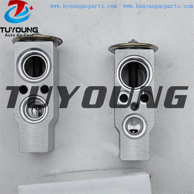 TUYOUNG auto ac expansion valves for Citroen C5 1.6 1.8 2.0 valve blocks 7701044611  6461H2  260220 China factory produce