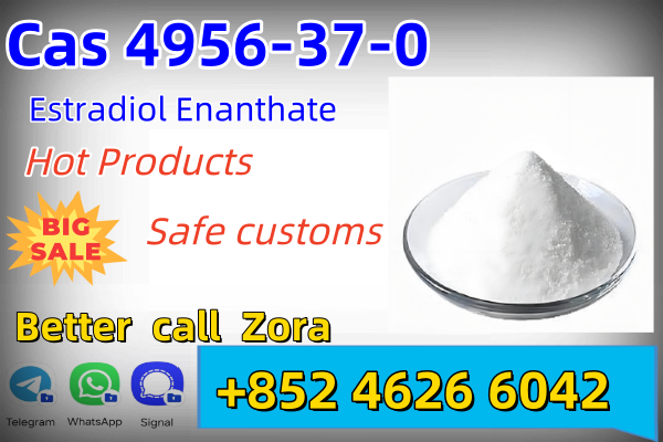99% <font color='red'>CAS</font> 4956-37-<font color='red'>0</font> 。Estrogen Oestradiol 17-Heptanoate <font color='red'>Powder</font> Estradiol Enanthate