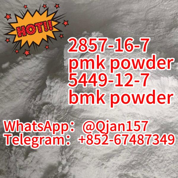 bmk oil /Pmk oil /CAS 28578-16-7/80532-66-7/20320-59-6 in stock