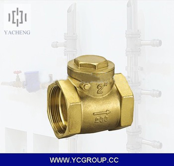 swing check valve