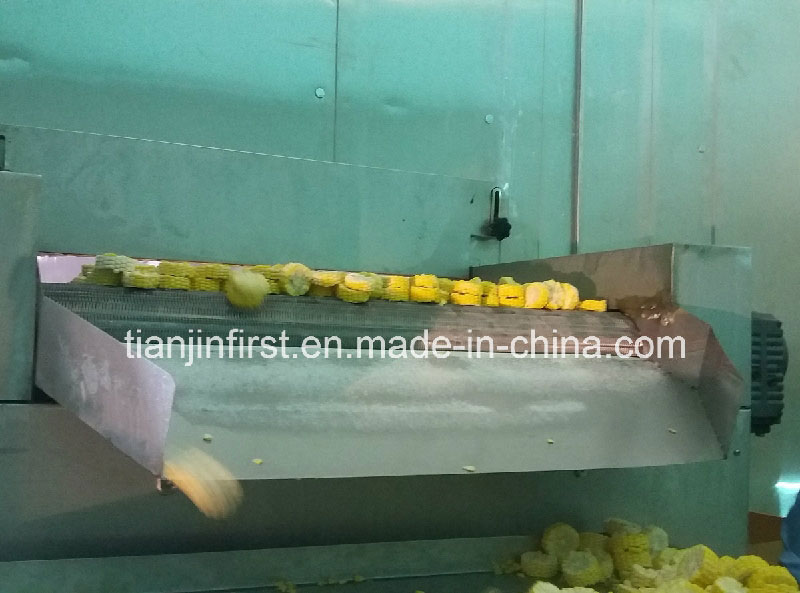 Strawberry Fruit Vegetable Fluidized IQF Quick Freezing Equipment