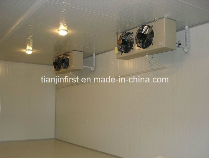 Cold Room Storage Design/ Cold Room for Food Fruits and Vegetables