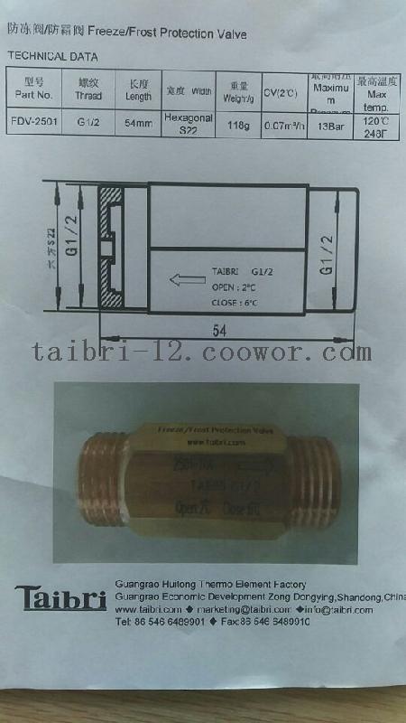 Freeze/Frost Protection Valve