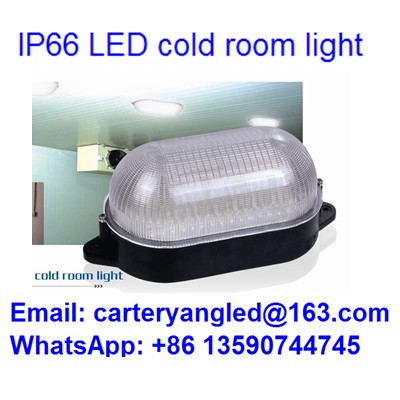 Lamps for cold rooms